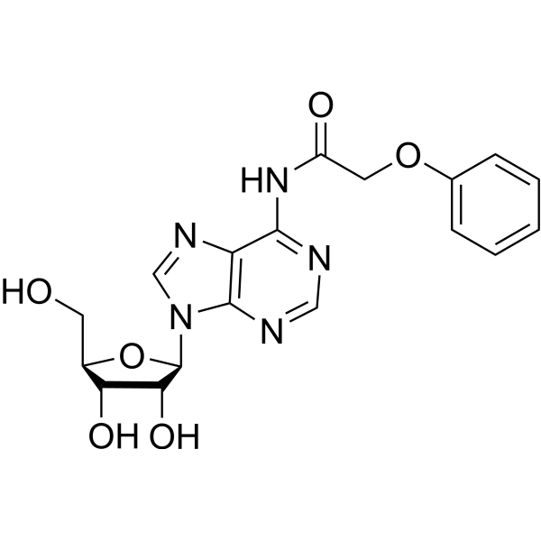 N-(2-Phenoxyacetyl)adenosine 119824-65-6